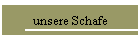 unsere Schafe